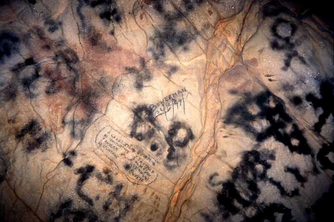 Graffiti Oread Halls Grand Hall ceiling[PSwart]